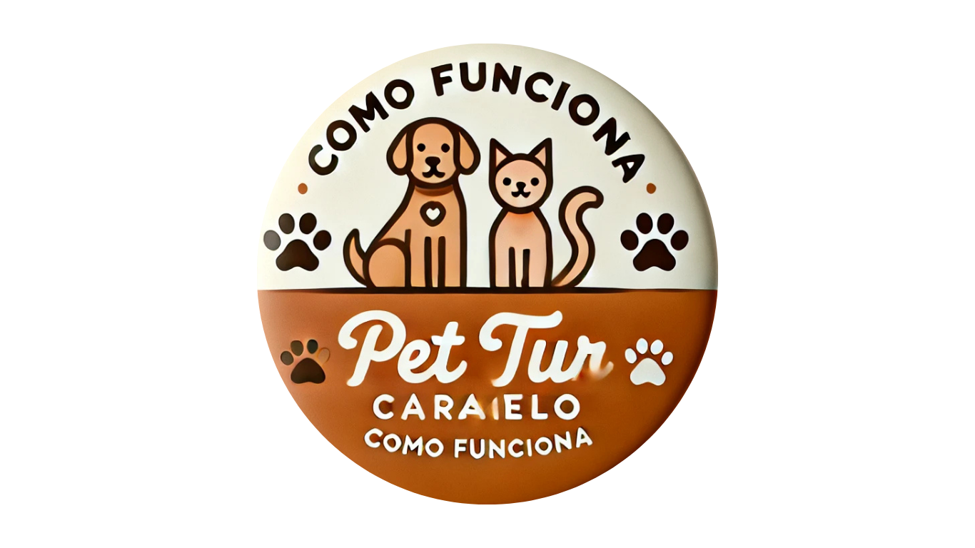 Como Funciona